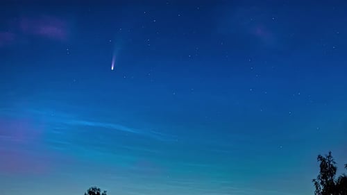 Comet Flies Across Starry Night Sky