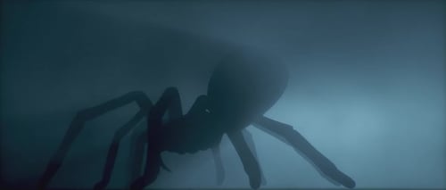 Giant Spider Silhouette Emerging From Fog in Dramatic Backlight