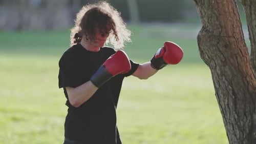 Boxer Training with Punches in Park