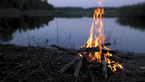 A Fire Burns on the Shore of a Forest Lake