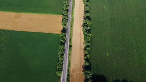 Automobile Asphalt Road with Cars Driving Along It Between Agricultural Fields