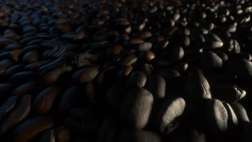 Coffee Beans Close Up Camera Dolly
