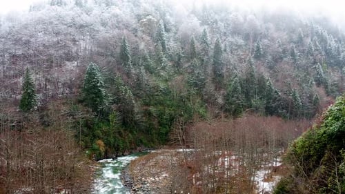 Aerial Winter Mountain Valley with Snowy Forest and Flowing River