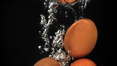 Eier, die auf schwarzem Hintergrund unter Wasser fallen, gefilmt mit einer Hochgeschwindigkeitskamera mit 1000 Bildern pro Sekunde