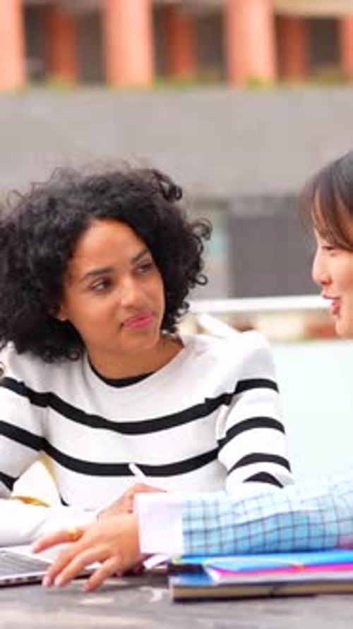 Students Friends Sitting in the Campus of the University Together