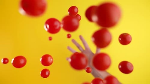Aus der Hand geworfene Tomaten