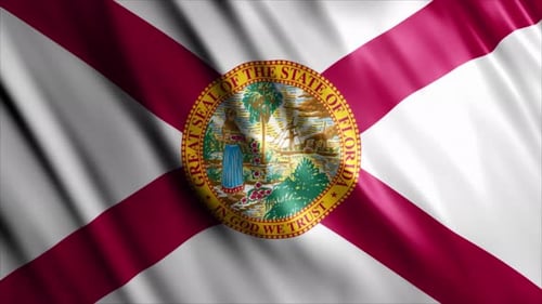 Animated Florida State Flag Waving Seamless Loop