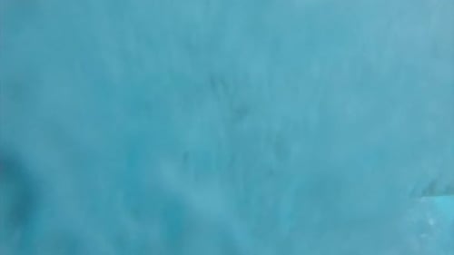 Man jumping to swimming pool