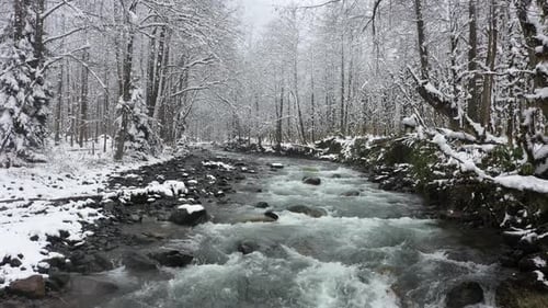 Stream flowing through snowy forest 4k