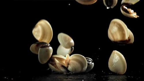 Vongole frais tombant sur fond noir avec des éclaboussures d'eau filmé par une caméra à grande vitesse à