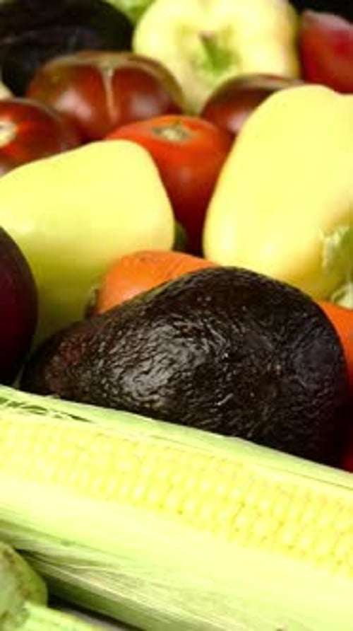 Assortment of Homegrown Mediterranean Fresh Vegetables for Healthy Cooking