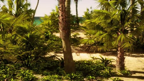 Ein Strand mit Palmen und dem Meer im Hintergrund