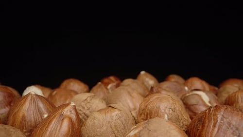 Shelled Hazelnuts Close Up on Black Background