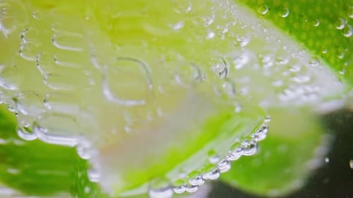 Refreshing Lime Slices Submerged in Bubbly Water