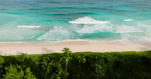 Turquoise Ocean Waves and Greenery Along the Coast Seychelles Mahe