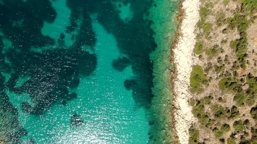A view of clear turquoise water meeting a rocky shoreline with scattered greenery under bright sunli