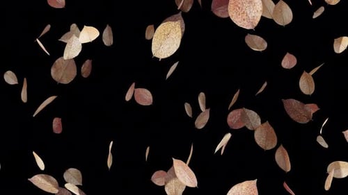 Realistic Falling Brown Leaves Natural Overlay