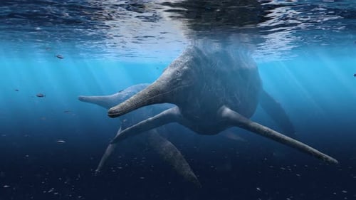Prehistoric Ichthyosaurs Swimming Underwater in a Realistic Ocean Scene