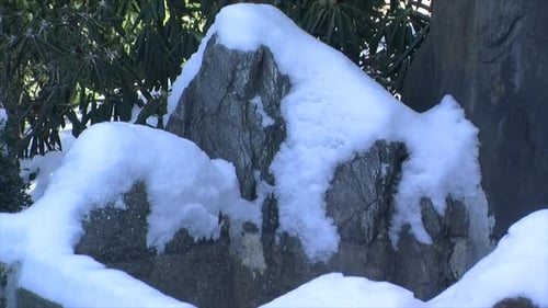 Decorative garden rocks covered with snow.