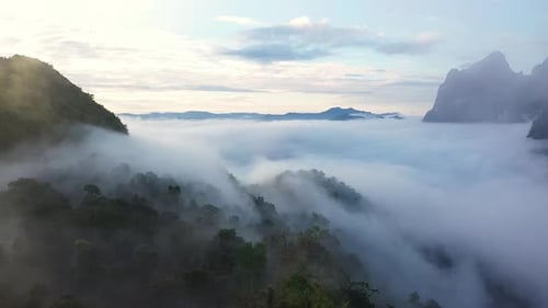 Aerial View Of Tropical Mountain And Rain Forest Landscape In The Morning Mist