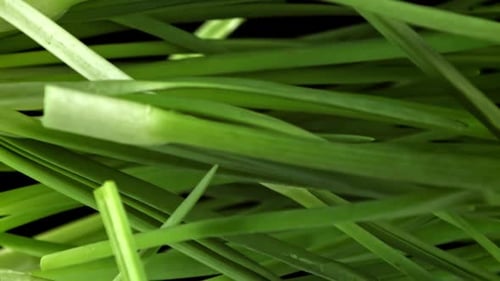 Green Onions Fly Up and Fall Down on a Black Background Filmed on a Highspeed Camera at 1000 Fps
