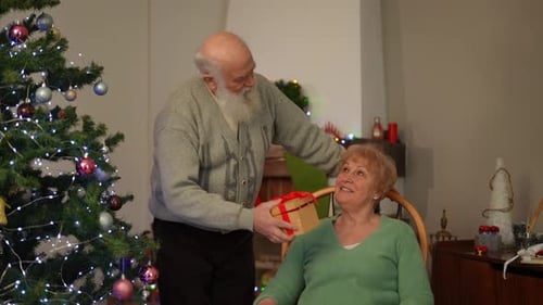 Senior Man Presents Christmas Gift to Senior Woman