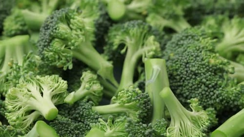 Close Up Dolly Shot of Fresh Green Broccoli