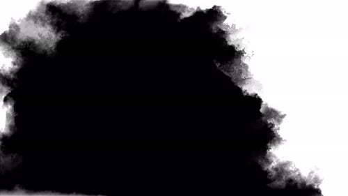 Ink Drops Transition Black Background Transition White Ink Drops Falling Black Background