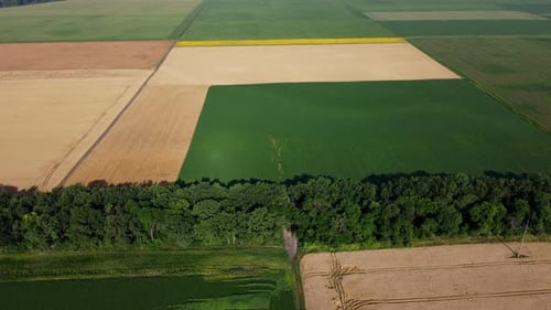 Aerial View of Colorful Fields and Farmland