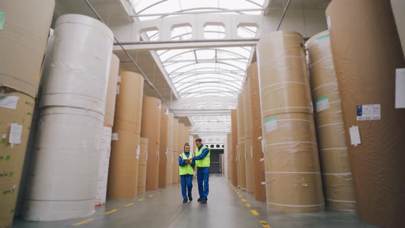 Workers at the Carton Packaging Factory Inspect Paper Rolls in the ...