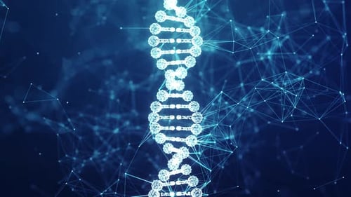 Rotating DNA Double Helix with Futuristic Digital Network Background