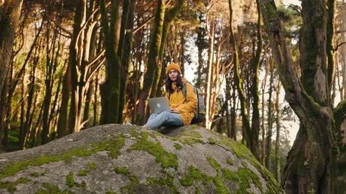 Woman Working Remotely on Laptop in Forest Wilderness