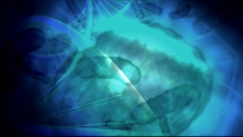 Close up macro details of red blue microbes molecules virus bacteria