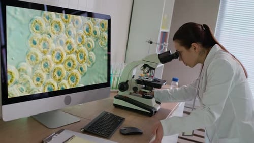 Biotech Researcher Examining Cell Samples in Microscope and Using Computer