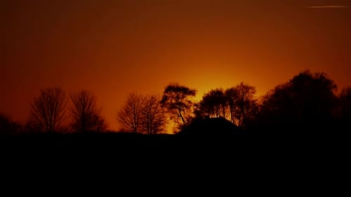Wunderschöner Sonnenaufgang über dem Wald auf der Südhalbkugel