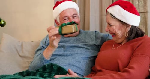 Affectionate Senior Couple Exchanging Christmas Gifts at Home