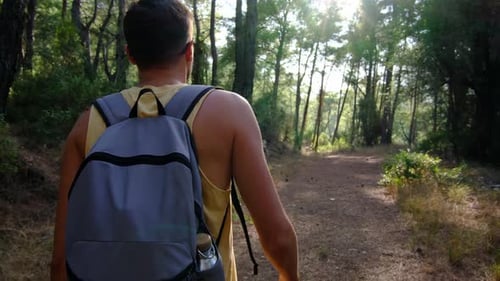 Junger Mann wandert im Wald