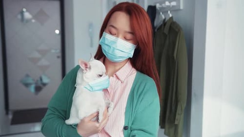 Attractive Asian Young Woman Holding Her Cute Chihuahua Dog Both Wearing Protective Face Masks and