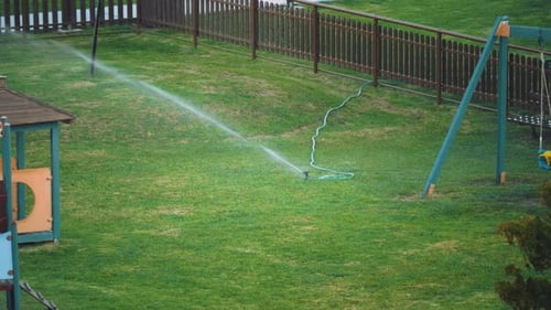 Garden Sprinkler Irrigates Grass Green Lawn During Hot Heat