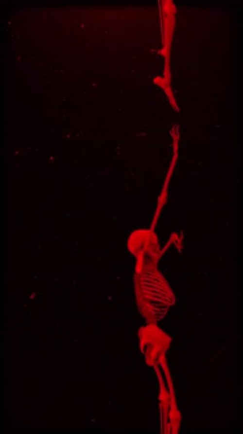 Skeleton Drag Crawl 01