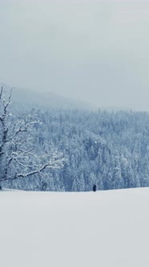 Lone Person Walks Through Snowy Winter Landscape