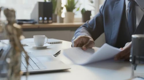 Lawyer Reviews Documents in Bright Office