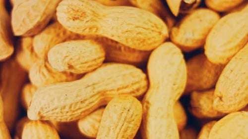 Waviness Effect of Peanuts with Bark on a Retro Tray