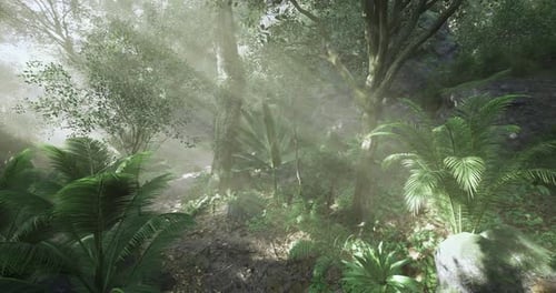 Sunlight Streaming Through Lush Foliage in a Dense Tropical Forest