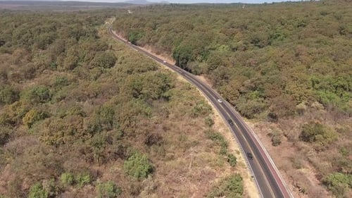AERIAL SHOT-ROAD IN FOREST
