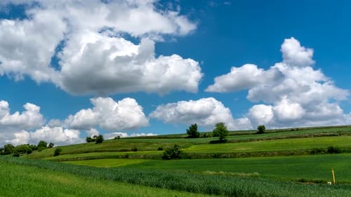 Rural landscape
