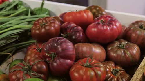 Surtido de diferentes tomates para ensalada Nueva cosecha de tomates grandes en el mercado italiano español