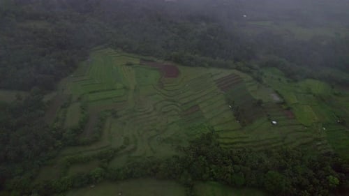 Fog Over The Man-made Rice Terraces In The Philippines