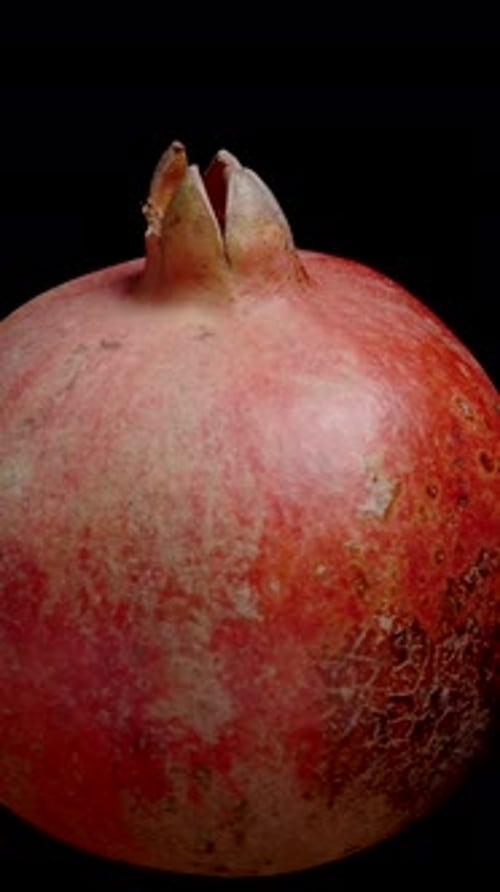 Vertical video. Ripe Red Pomegranate, isolated, looped video. Suitable for background removal.