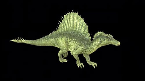 Spino Walk Idle